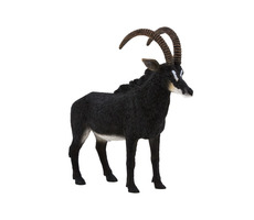 Mojo Animal Planet Antilopenkrähe / ab 3 Jahren