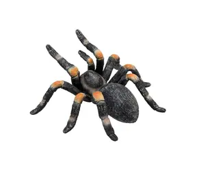 Mojo Animal Planet Sklípkan orange-gestreift / ab 3 Jahren