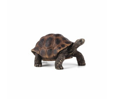 Mojo Animal Planet Riesenschildkröte / ab 3 Jahren