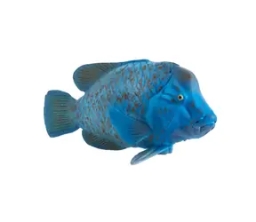 Mojo Animal Planet Groper blau / ab 3 Jahren