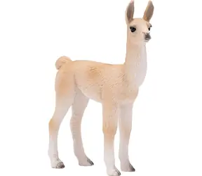 Mojo Lama Jungtier / ab 3 Jahren
