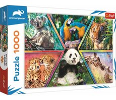 Trefl - Puzzle - Animal Planet: Animal Kingdom / 1000 Teile / 68,3 x 48 cm / ab 13 Jahren