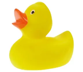 Lena Große Enten / ab 12 Monaten