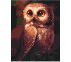 Symag Painting Malen Sie es! Malen nach Zahlen - Eule / ab 14 Jahren