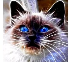 Norimpex Diamantmosaik - Magische Katze
