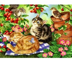 Norimpex Diamantmosaik - Katzen im Set