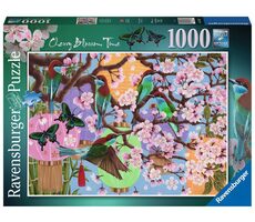 Ravensburger Kirschblütenzeit