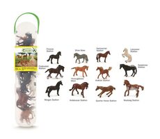 Collecta Fohlen 12 Stück / ab 3 Jahren