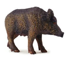 Collecta Wildschweinschwein / ab 3 Jahren