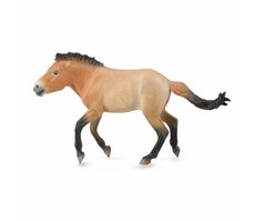 Collecta Převalskýs Pferd / ab 3 Jahren