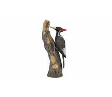 Collecta Specht / ab 3 Jahren
