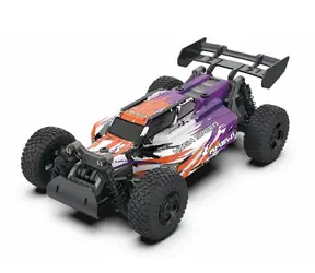 AMEWI Race Buggy bunt / RC Auto / 1:18 / Alter: 8+ / 2,4GHz / Fernbedienung / Bausatz
