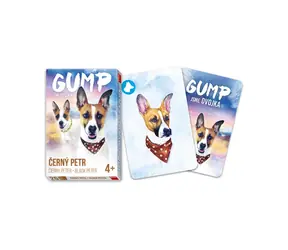 Dino Gump wir sind ein doppelter Černý Petr / 24 Karten / ab 4 Jahren