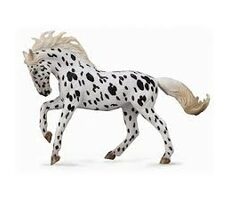 Collecta Horse Knabstrupper Stute - Black Leopard / ab 3 Jahren
