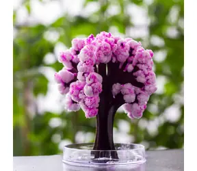 Mad Monkey Magic Sakura - Kirschblüte 