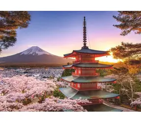 Ravensburger Kirschblüten in Japan / 1000 Stück / ab 14 Jahren