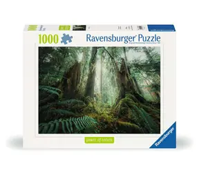 Ravensburger Wald / 1000 Teile / ab 14 Jahren