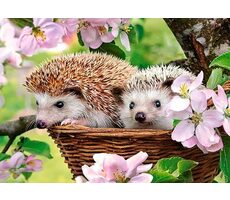 Castorland 13319 Frühling (Igel im Korb) / 120 Teile / ab 6 Jahren