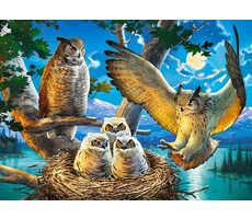 Castorland 018437 Eulenfamilie / 180 Teile / ab 7 Jahren