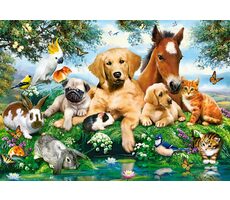 Castorland 53230 Sommerfreunde / 500 Teile / ab 9 Jahren