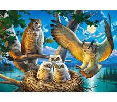 Castorland 53322 Eulenfamilie / 500 Teile / ab 9 Jahren
