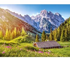 Castorland 53360 Sommer in den Alpen / 500 Teile / ab 9 Jahren