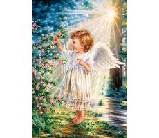 Castorland 103867 Angel&#39;s Touch / 1000 Teile / ab 9 Jahren