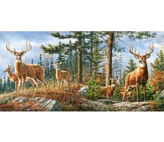 Castorland 400317 Königliche Hirschfamilie / 4000 Teile / ab 9 Jahren