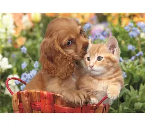 Clementoni PUZZLE Cute Friends MAXI / 104 Teile / ab 4 Jahren