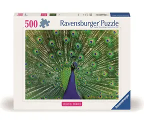 Ravensburger Puzzle: Majestätischer Pfau / 500 Teile / ab 12 Jahren 