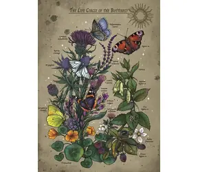 Ravensburger Puzzle: Lebenszyklus eines Schmetterlings / 1000 Teile / ab 14 Jahren