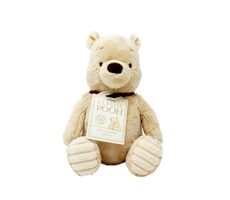 Regenbogen-Plüschtier Winnie Puuh / 0+
