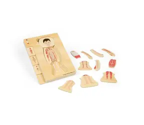 Bigjigs Toys Holzpuzzle Anatomie Junge / 26 Teile / ab 3 Jahren