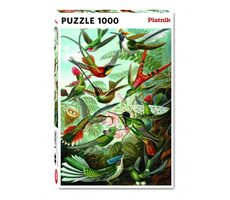 Piatnik Haeckel Kolibri / Stückzahl: 1000 / ab 12 Jahren