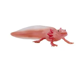 Mojo Axolotl / ab 3 Jahren