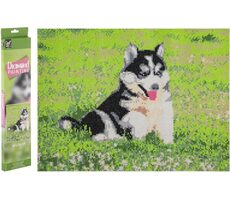 GRAFIX Diamond Painting Husky / 40x50 cm