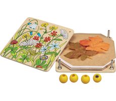 GOKI Pflanzenpresse aus Holz für Herbarium / ab 8 Jahren