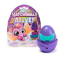 Spin Master Hatchimals Einzelpackung Neon-Regenbogen / ab 3 Jahren