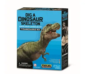 4M Dinosaurier-Skelett - REX / ab 8 Jahren