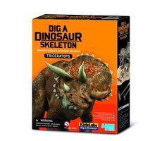 4M Dinosaurier-Skelett - Triceratops / ab 8 Jahren