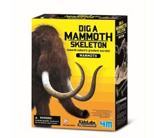4M Skelett - Mammut / ab 8 Jahren