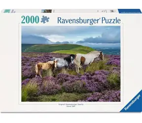 Ravensburger 120017516 Wildpferde, 2000 Teile / ab 14 Jahren / Version: International