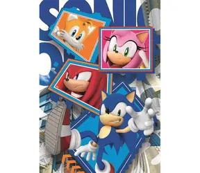 Clementoni 25038 Puzzle Sonic the Hedgehog: Friends, 104 Teile / ab 6 Jahren