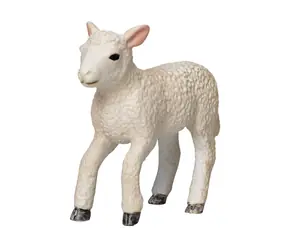 Mojo Lamb Romney Marsh Running / ab 3 Jahren