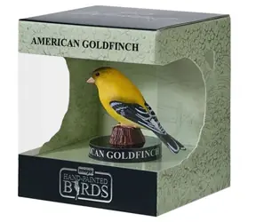 Mojo Amerikanischer Goldfink in einer Box / ab 3 Jahren
