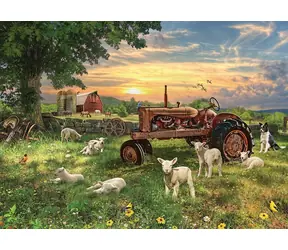 Kopfsteinpflasterhügel-Puzzlefeld bei Sonnenaufgang / 1000 Teile / ab 14 Jahren