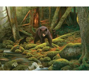 Kopfsteinpflaster-Puzzle Mutter Natur / 1000 Teile / ab 14 Jahren