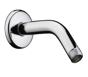 Hansgrohe Aktiva - Duscharm 13 cm | Chrom 