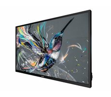 31,5" Philips 32BDL3511Q/00 schwarz / VA / 1920 x 1080 / 80Hz / 6,5ms / 350cd / HDMI / DVI / USB / REPRO / VESA 