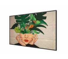 55" Philips 55BDL4511D/00 schwarz / IPS / 3840 x 2160 / 60Hz / 8ms / 500cd / HDMI / DP / DVI / REPRO / VESA